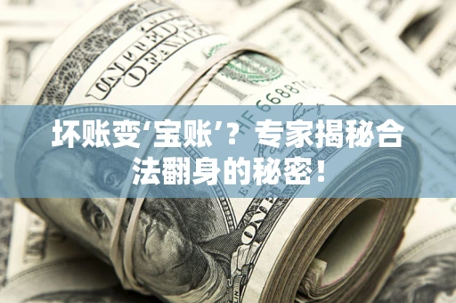济南坏账变‘宝账’？专家揭秘合法翻身的秘密！