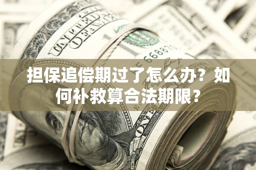 济南担保追偿期过了怎么办？如何补救算合法期限？